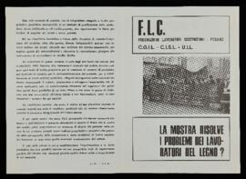 "La Mostra risolve i problemi dei lavoratori del legno?" - 1974